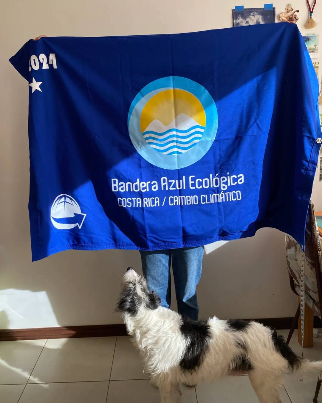 Gato Negro se convierte en la primera marca de diseño costarricense en obtener el galardón Bandera Azul. Descubre cómo nuestra joyería sostenible y el suprareciclaje nos llevaron a este gran logro de conciencia ambiental.