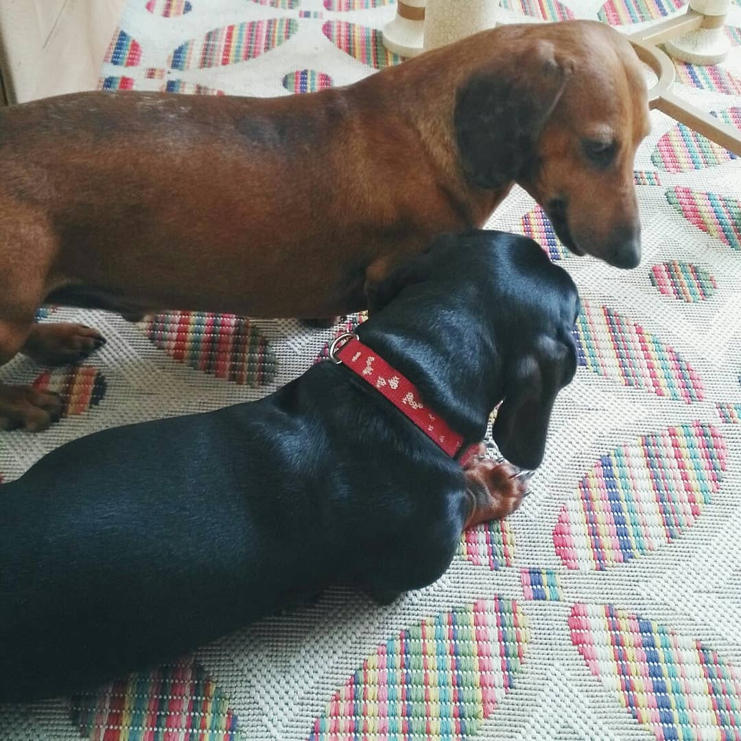 ¿Cómo nació #momentosluz?