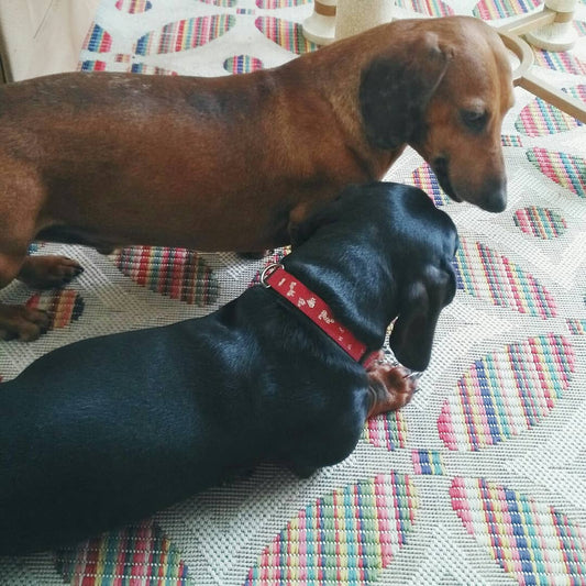 ¿Cómo nació #momentosluz?