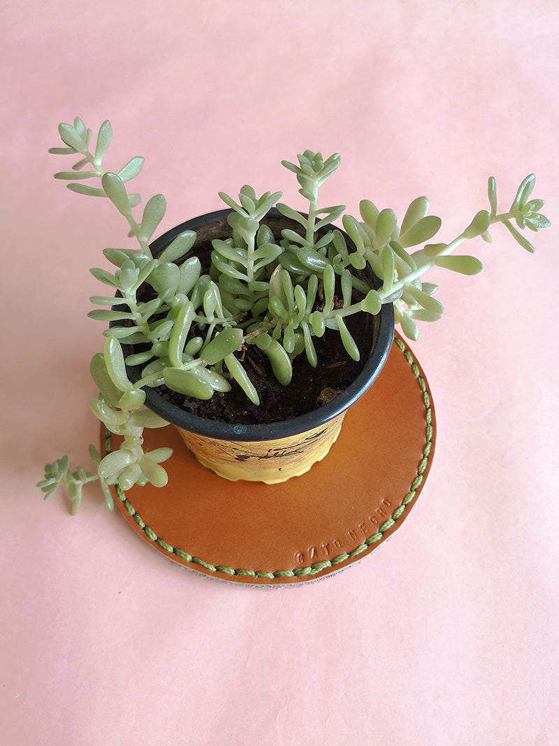 Plato de cuero multiusos para plantas